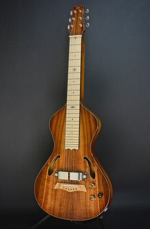 SOLD 2018 Asher Dual Tone Semi Acoustic Lap Steel Guitar with Vintage 60s Horseshoe magnet and Asher Coil, #1051